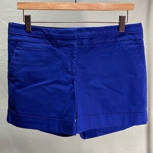Express Women's Blue Shorts